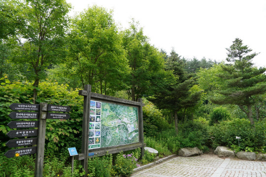 산림청은 김창열 원장이 기부한 한국자생식물원을 '국립 한국자생식물원'으로 운영한다.  산림청 제공